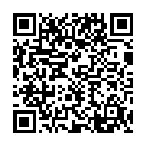 她实在是用尽自己最后一分自制力才没有对乔什大嚷大叫二维码生成