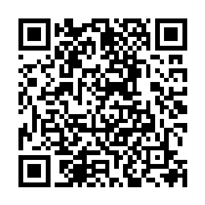 她实在没有什么可以被拿出来反复剖析反复被折磨的东西二维码生成