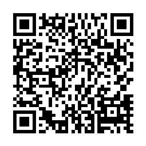 她害怕自己向前走的每一步最后都会变成自己回不去的烙印二维码生成