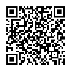 她对于琅琊两条腿中间的那个巨大的光幕很感兴趣二维码生成