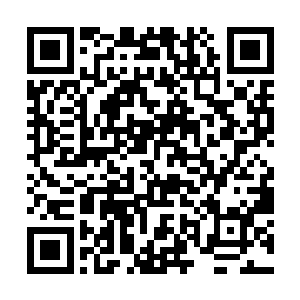 她对切萨雷的感情生活几乎只是偶尔知道个一鳞半爪二维码生成