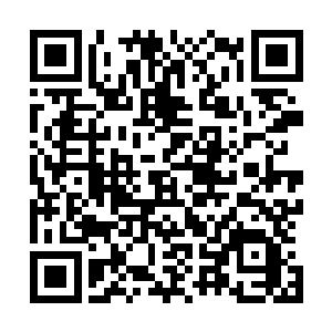 她将之前程珈澜批阅完毕的文件交到了等候多时的助理手中二维码生成