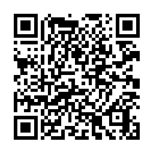 她将自己在这个剧情世界中经历的所有事情都梳理一遍二维码生成