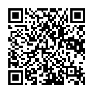 她将费尔哈拉所有的传奇强者都偷偷调去开了一个秘密会议二维码生成