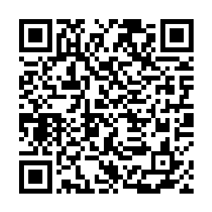 她小心翼翼地回头看了一眼紧跟在自己身后的两个仙王二维码生成