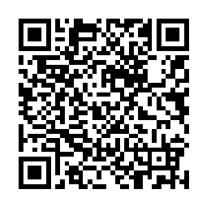 她小鸟依人的站在玄关前垫着脚尖帮他整理领带的时候二维码生成