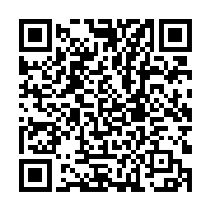 她就不知道她的出现给我们苏家造成这么大的麻烦吗二维码生成