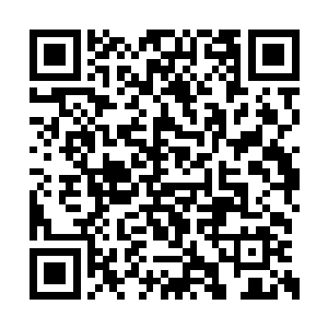 她就会仔细观察每个孩子的攻击方式和应变能力二维码生成