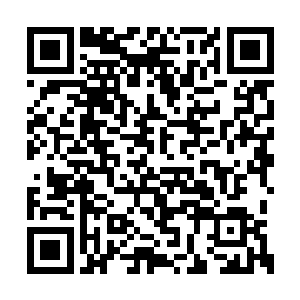 她就像是又看见上学时候那个意气风发的池墨卿二维码生成