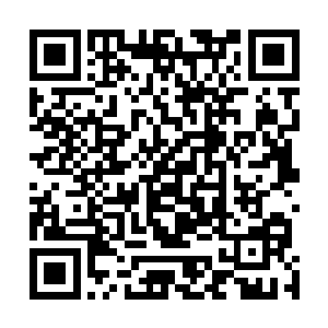 她就像是老鹰抓小鸡这个游戏里站在第一个的那个老母鸡二维码生成