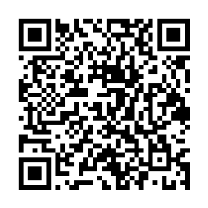 她就只想借借顾大娘子的名头来震慑一下许家的人二维码生成