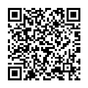 她就尝试着将幽蓝花挪到独立空间内……事实证明二维码生成