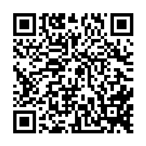 她就感觉到一股极其温和且细微的特别能量探进体内二维码生成