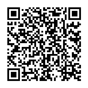 她就打算直到事情解决之前都蹲在白兰怀里假装自己只是块叉烧了二维码生成