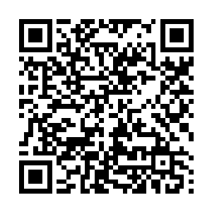 她就把以前已经交付出去的事情又重新收到了自己手里二维码生成