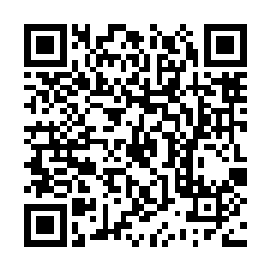 她就把她所知道的刺杀任务的一些细节告诉了马文二维码生成