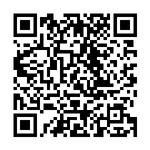 她就是一个不识抬举的孩子――你有什么责骂都冲着我来二维码生成