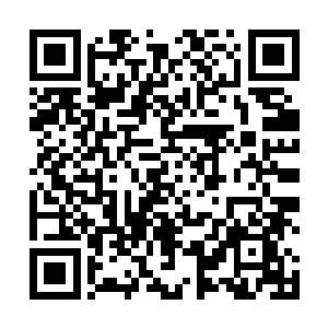 她就是想不通洛倾瑶为什么要在外人面前去找自己的茬二维码生成