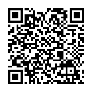 她就有了更充分的理由夺回那些被马文坑过去的资源了二维码生成