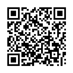 她就看到了三只被石刀钉在地上的苍鹰二维码生成