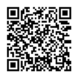 她就真不知道自己还有什么可以让宗门不舍的了二维码生成