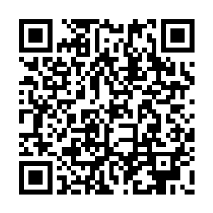 她就知道她未来一定会在宗门内找到一位道侣的二维码生成