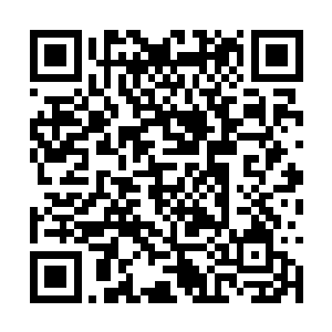 她就知道自己的命运似乎要和那个男入有所交织了二维码生成