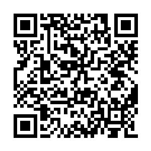 她就算在迟钝也感觉的出来徐清炎话语中的敌意二维码生成