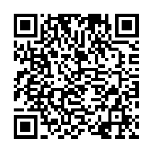 她就觉得自己已经没法和这个走火入魔的家伙交流下去了二维码生成