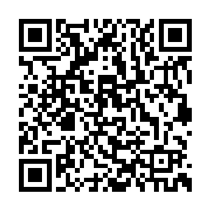 她就那么巧又出现在了苏郁公司的面试人员当中二维码生成