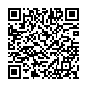 她居然为了得宠为了地位做了那么不理智的蠢事二维码生成