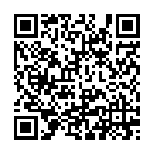 她居然被许配给了被他们赶出河族的那个上门女婿二维码生成