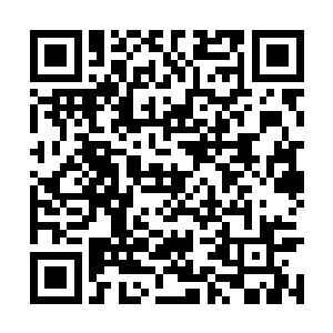 她左手边的一本蓝色的小册子上陡然浮现出几个字二维码生成