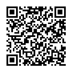 她已经从冰封之中感应到了冷瑶身上受到的重创二维码生成