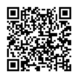 她已经从大人的言谈中知道那些杀手来自樱花组织二维码生成