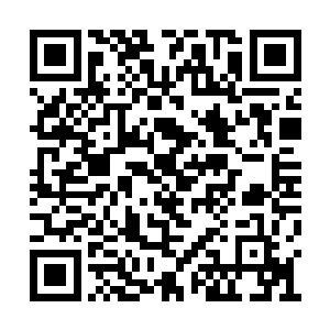 她已经做好了事后要和楚中元同归于尽的打算了二维码生成