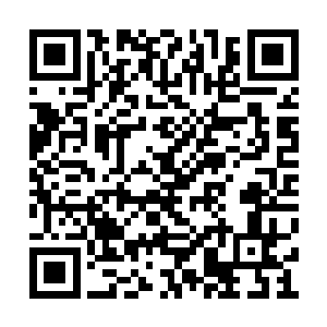 她已经发现了大块头不愿意领自己钱包的原因了二维码生成