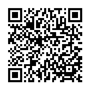 她已经可以预料得到当徐敏静看到林烽躺在自己床上的时候二维码生成