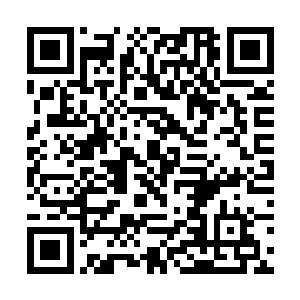 她已经将自己手上所有客户资料全部交接给好友文馨二维码生成