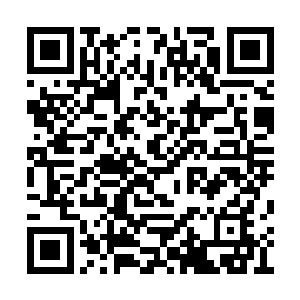 她已经本能的跟着凤幽萝他们走进了青木小楼中二维码生成