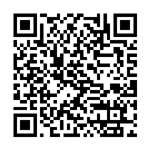 她已经知道会场上的宾客都已经知道断续膏之事了二维码生成