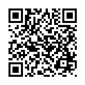 她已蹙着眉头翻来覆去推演了数遍二维码生成