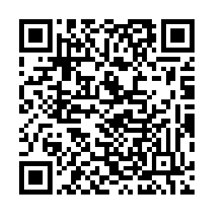 她并不怕他――但扎德又立刻把□□塞到了她太阳穴边上二维码生成