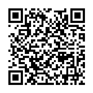 她并不想让这个国家因为自己而经历大的政治动荡二维码生成