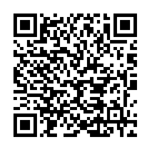 她并不担心方炎当真会把那份录音文件丢到网络上面去二维码生成