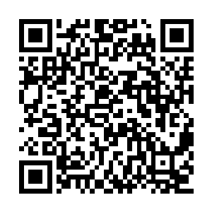 她并不是为了这种为了钱财而出卖主子的人伤神二维码生成