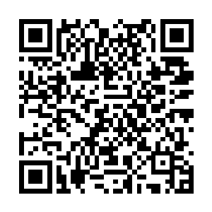 她并不知道爷爷还有这么一位年轻得不像话的弟弟二维码生成