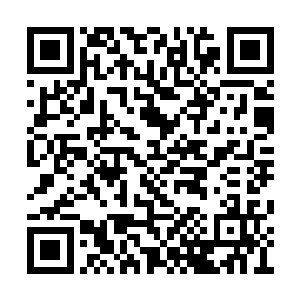 她并不能理解这些剑为何散发着这样强烈的悲意二维码生成