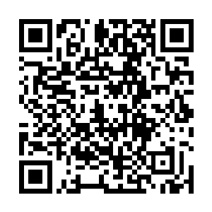 她并非那种为了自己的想法便什么都不管不顾的熊孩子二维码生成