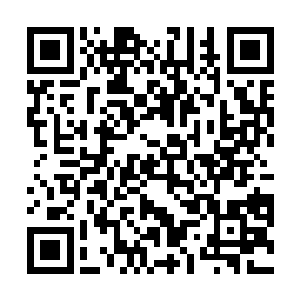 她应该是遇到老朋友了――我听说你才刚从惠灵顿回来二维码生成